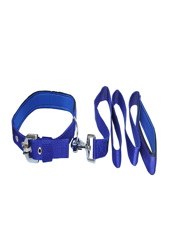 Skora Dog Harness and Collar+Leash Combo, Blue - Image 3